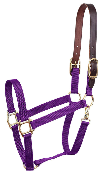 Economy Nylon Safety Horse Halter - Purple Mini B 