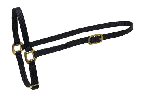 Nylon Grooming Halter -   