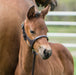 Double Crown Foal Halter -   