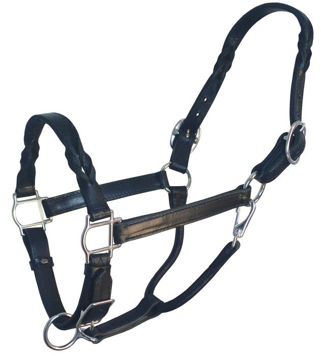 Perri's Twisted Leather Halter - Black Horse 