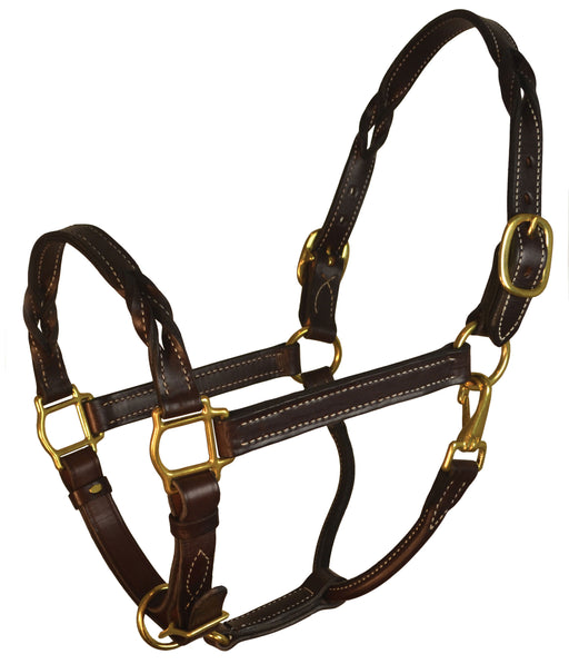 Perri's Twisted Leather Halter - Havana Cob 