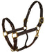 Perri's Twisted Leather Halter - Havana Cob 