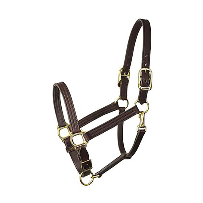 Perri's Leather Halters and Leads - Perri's Leather Halter, 1" Full  