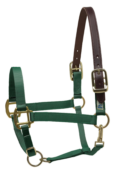 Breakaway Horse Halter, Horse Size - Hunter Green  