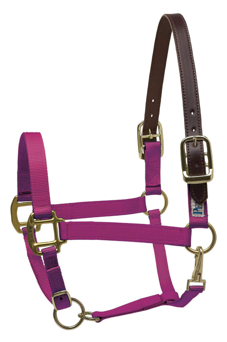 Breakaway Horse Halter, Horse Size - Raspberry  