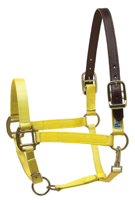 Breakaway Horse Halter, Horse Size - Yellow  