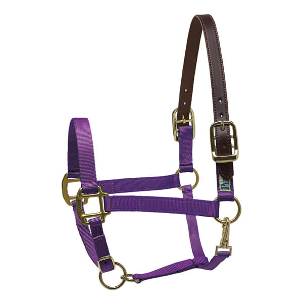 Perri's Nylon Breakaway Halter, Cob Size - Purple  