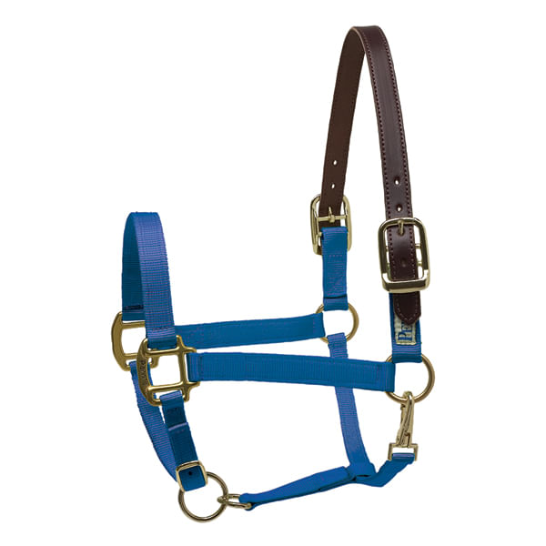 Perri's Nylon Breakaway Halter, Cob Size - Royal Blue  