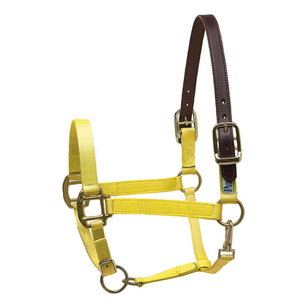 Perri's Nylon Breakaway Halter, Cob Size - Yellow  