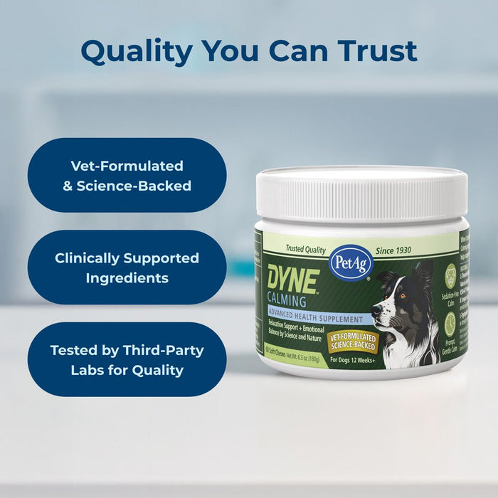 Dyne Calming & Stress Support Soft Chews for Dogs – Natural Stress Relief for Noise, Travel & Separation Anxiety - B7ZS - Chicken Liver - 60 Soft Chews - 7