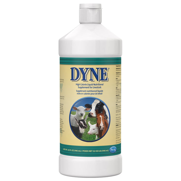 Dyne High Calorie Liquid Nutritional Supplement for Livestock - B7AJ - 32 oz - 1