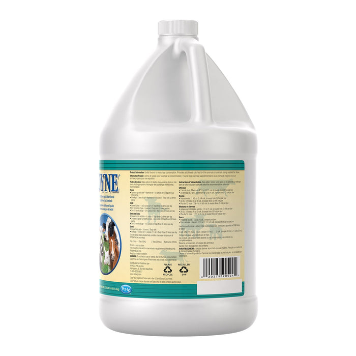 Dyne High Calorie Liquid Nutritional Supplement for Livestock - B7AK - Gallon - 6