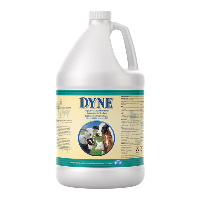 Dyne High Calorie Liquid Nutritional Supplement for Livestock - B7AK - Gallon - 4