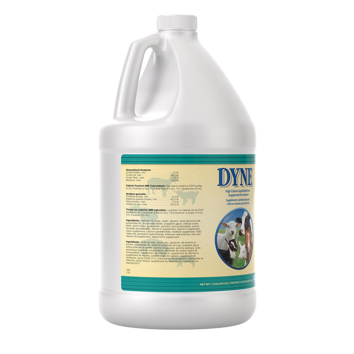 Dyne High Calorie Liquid Nutritional Supplement for Livestock - B7AK - Gallon - 5