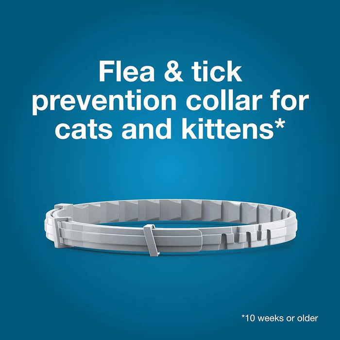 Seresto Flea & Tick Collar for Cats - Single Pack  