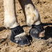Easyboot Glove Soft Horse Hoof Boot, Single - LKXD - 0 - 3