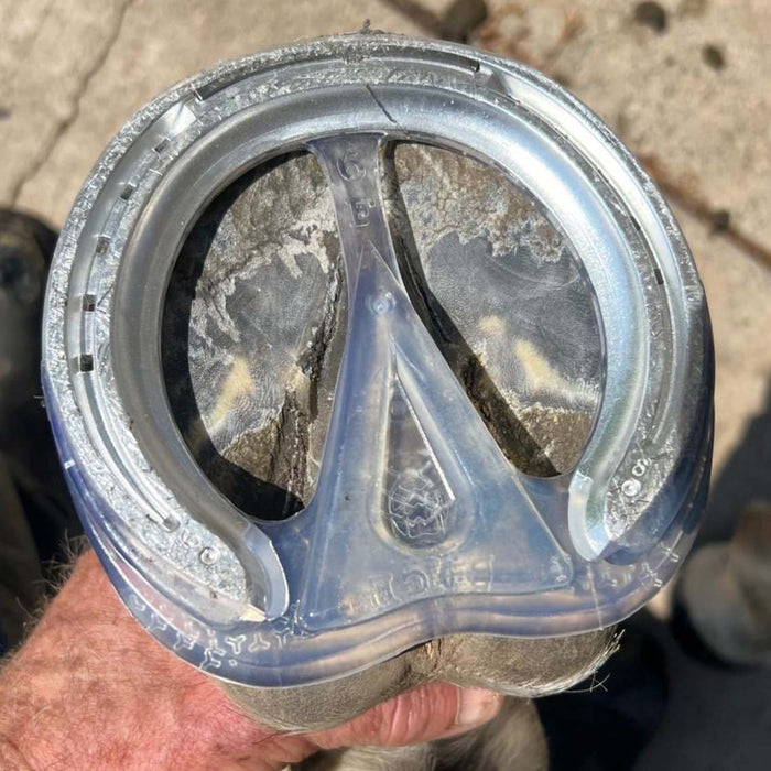 EasyShoe Race Horse Boot, Pair - LKAAR - Front 3 - 2