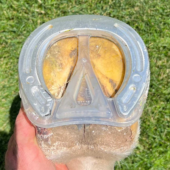 EasyShoe Roller Horse Boot, Pair - LKAAX - Front 3 - 3