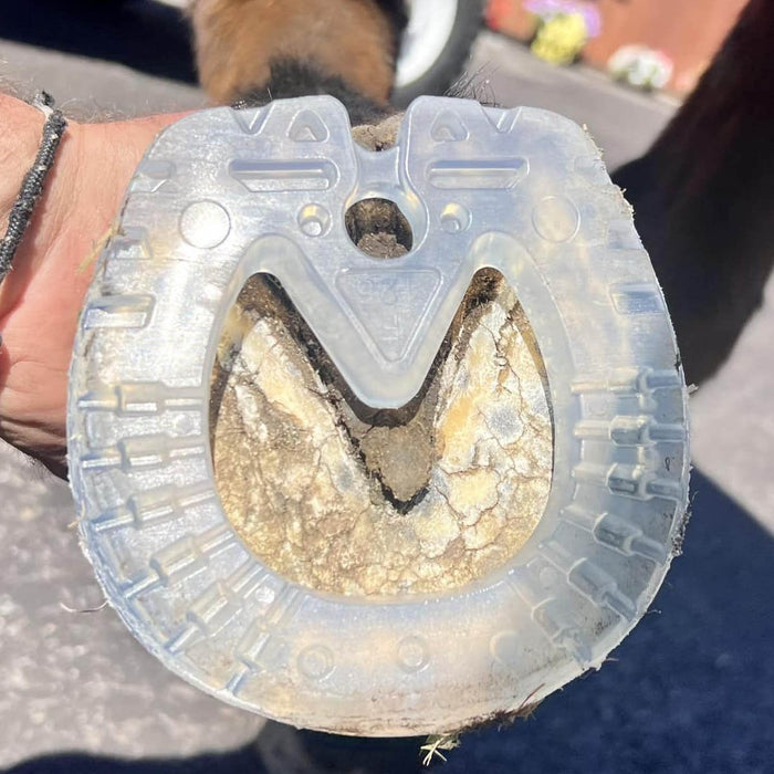 EasyShoe Speed Horse Boot, Pair - LKAA7 - Front 114 - 6