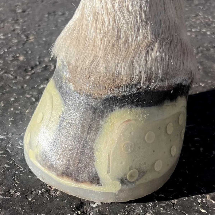 EasyShoe Speed Horse Boot, Pair - LKAA7 - Front 114 - 5