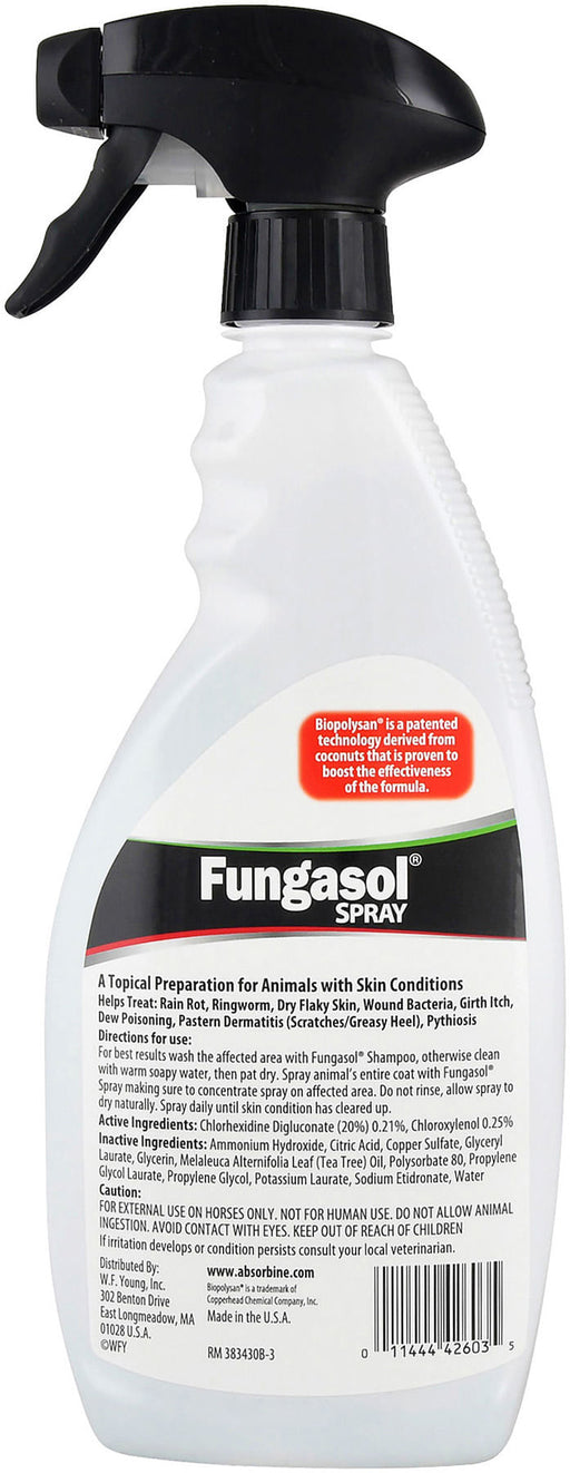 Fungasol Spray, 22 oz -   