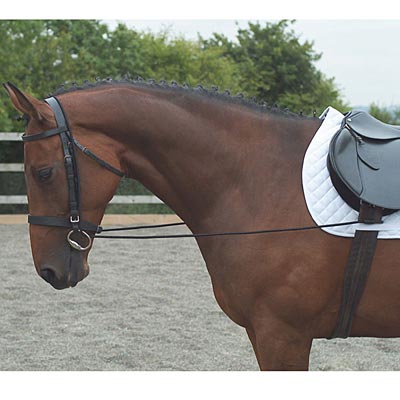 Elastic Training Reins - Jeffers - Horse Supplies > Horse Supplies