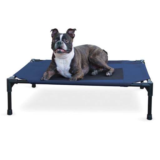 Elevated Dog Bed, Medium - Jeffers - Dog Supplies > Dog Beds