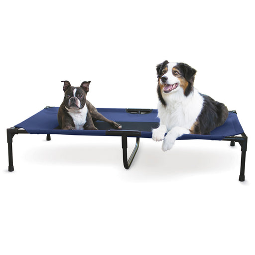 Elevated Dog Bed, X - Large - Jeffers - Dog Supplies > Dog Beds