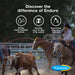 Endure Sweat - Resistant Fly Control - Jeffers - Animal Health & Wellness > Fly & Insect Control