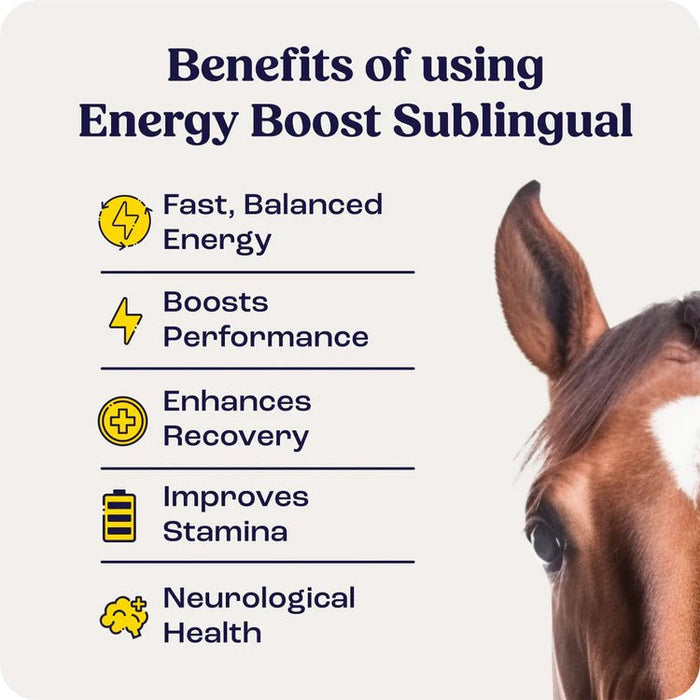 Energy Boost Sublingual for Horses, 3 Dose Pack - SAHD - 3 Pack - 3