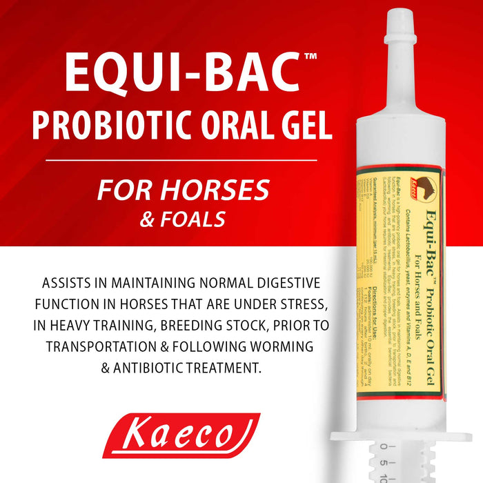 Equi - Bac - Jeffers - Animal Health & Wellness > Vitamins & Supplements