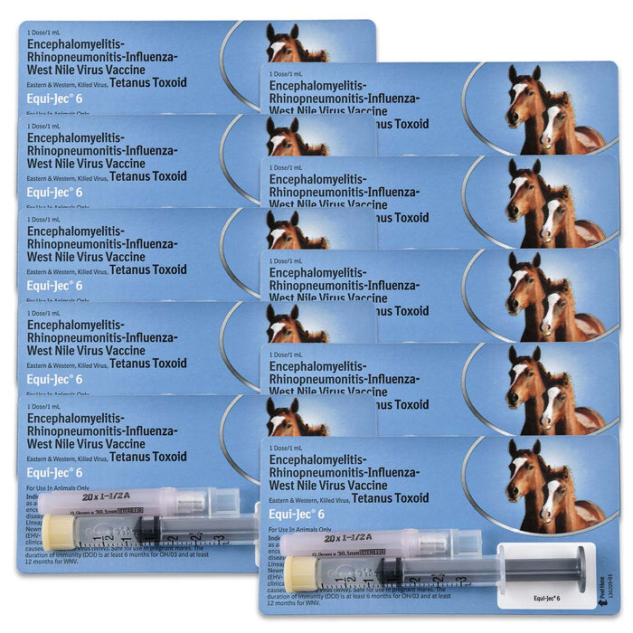 Equi - Jec 6 Vaccine for Horses - A9CT-10PK - 1 Dose - 10 - 8