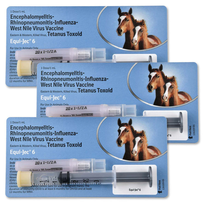 Equi - Jec 6 Vaccine for Horses - A9CT-3PK - 1 Dose - 3 - 9