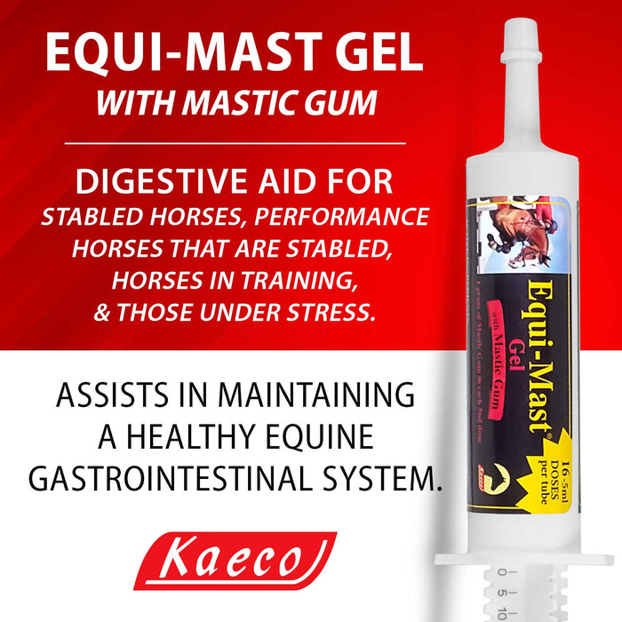 Equi - Mast Gel, 16 Daily Doses, 80ml - KKV2 - 80ml - 2