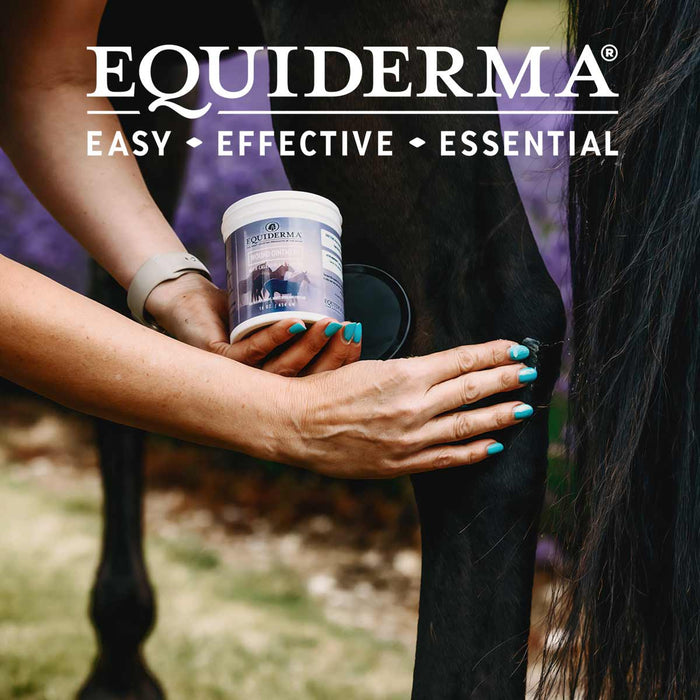 Equiderma Wound Ointment - TAHE3 - 2