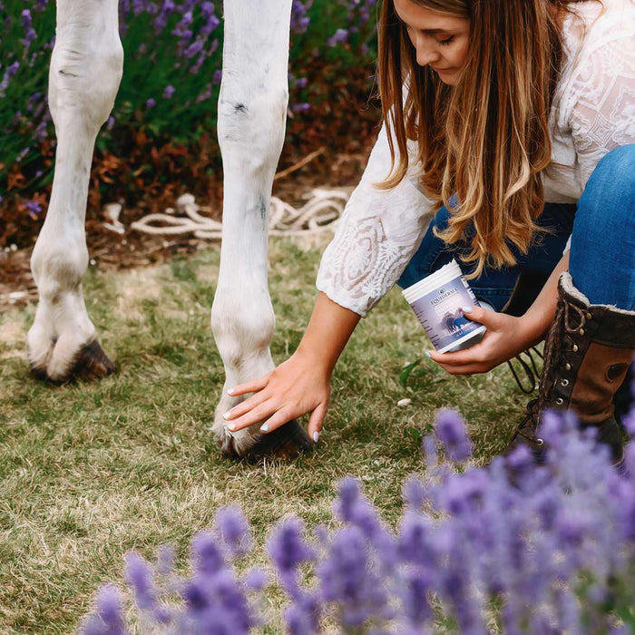 Equiderma Wound Ointment - TAHE3 - 3