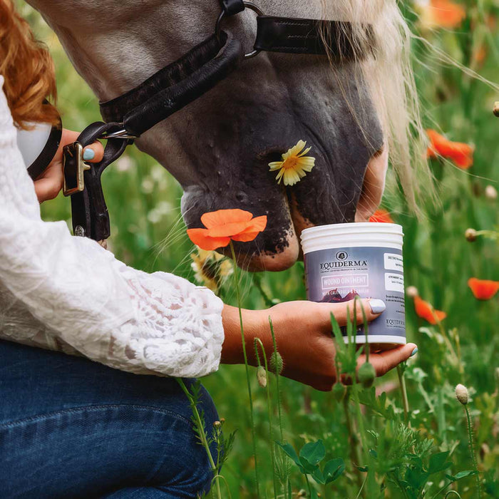 Equiderma Wound Ointment - TAHE3 - 4