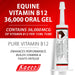 Equine Vitamin B12 Gel, 15 mL (3 dose) tube - Jeffers - Animal Health & Wellness > Vitamins & Supplements