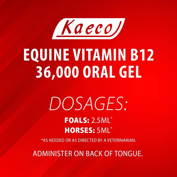 Equine Vitamin B12 Gel, 15 mL (3 dose) tube - Jeffers - Animal Health & Wellness > Vitamins & Supplements