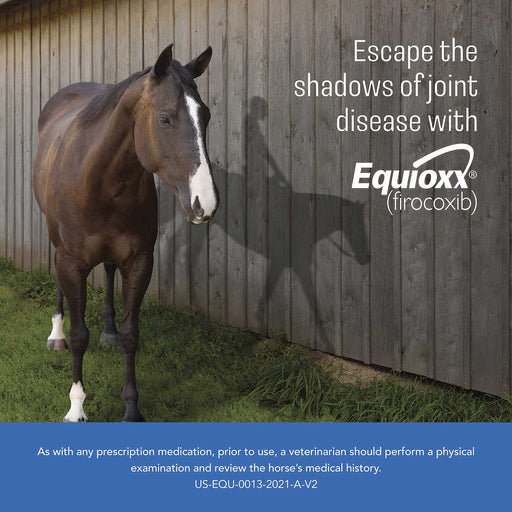 Equioxx for Horses (57mg) - Jeffers - Animal Health & Wellness > Joint Health