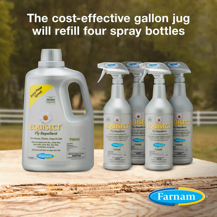 EquiSect Fly Repellent - Jeffers - Animal Health & Wellness > Fly & Insect Control