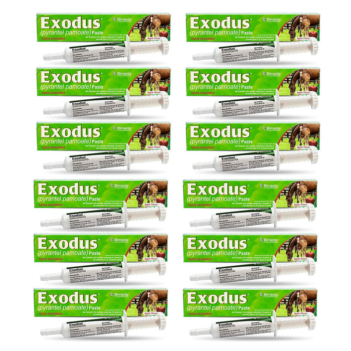 Exodus Pyrantel Pamoate Horse Dewormer Paste - 4CE1-12 - Single Dose Syringe (23.6 g) - 12 Pack - Apple - 8