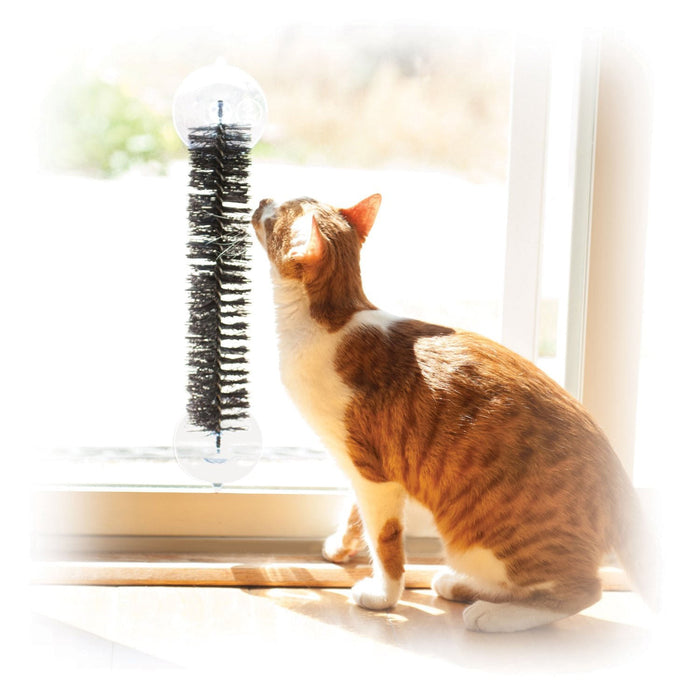 EZ Mount Self - Grooming Brush - Jeffers - Animal & Pet Supplies > Pet Grooming > Pet Combs & Brushes