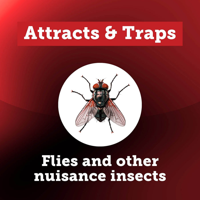 EZ Trap Odor Free Fly Trap, Twin Pack - FAEZ - 2 Pack - 4