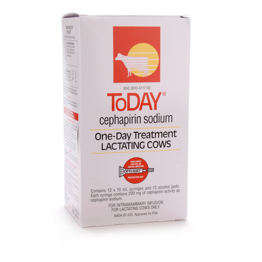 ToDAY (Cephaperin Sodium) One-Day Treatment Lactating Cows - ToDAY, box of 12 (10 mL syringes)  