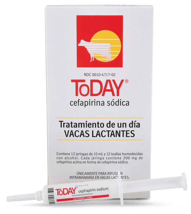 ToDAY (Cephaperin Sodium) One-Day Treatment Lactating Cows - ToDAY, box of 12 (10 mL syringes)  