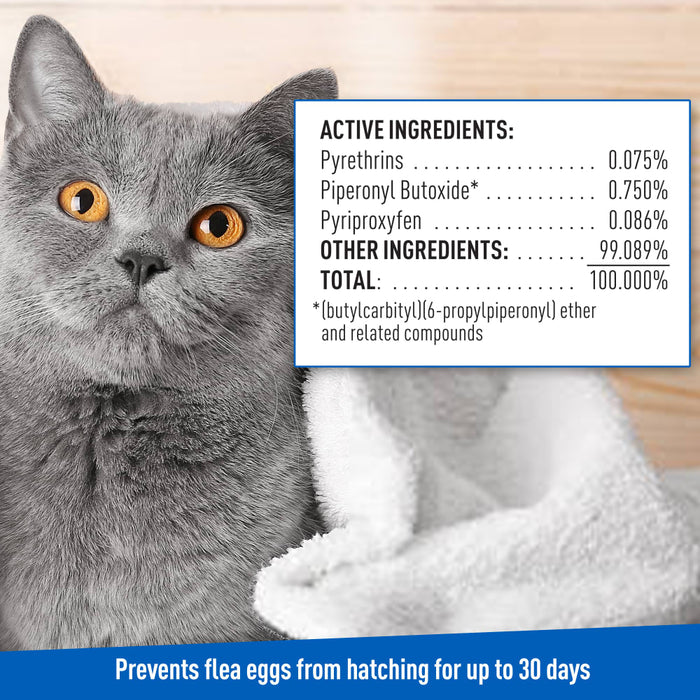 ADAMS Flea & Tick Cleansing Shampoo For Cats, 12 oz