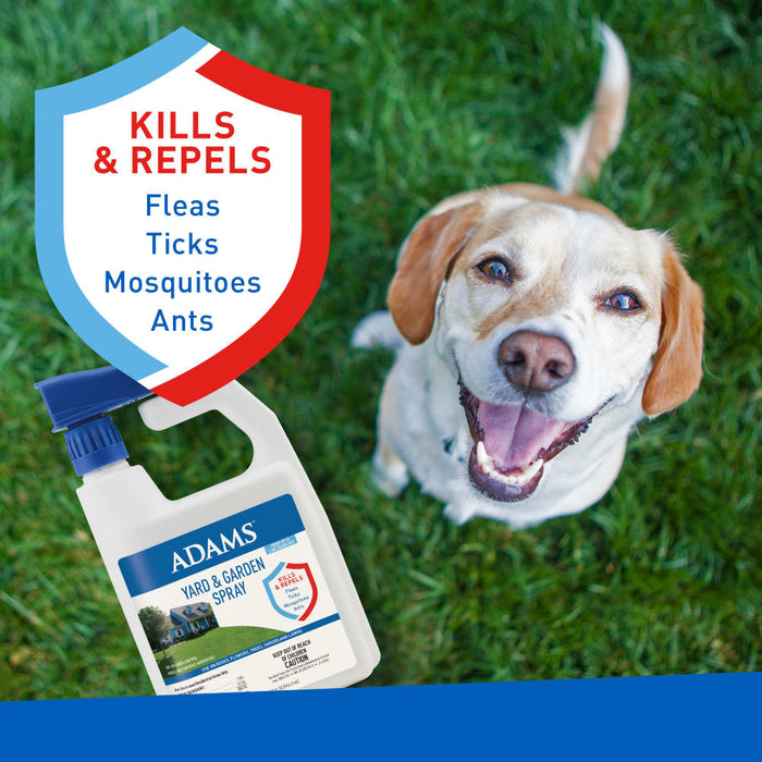 ADAMS Yard & Garden Spray, Treats Up to 5,000 Square Feet, 32 Fl oz