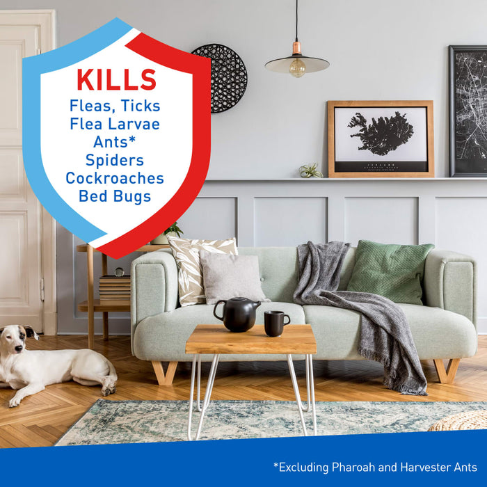 ADAMS Flea & Tick Carpet & Home Aerosol Spray, 7-Month Flea Protection, Treats Up to 2K Sq Ft, 16 oz