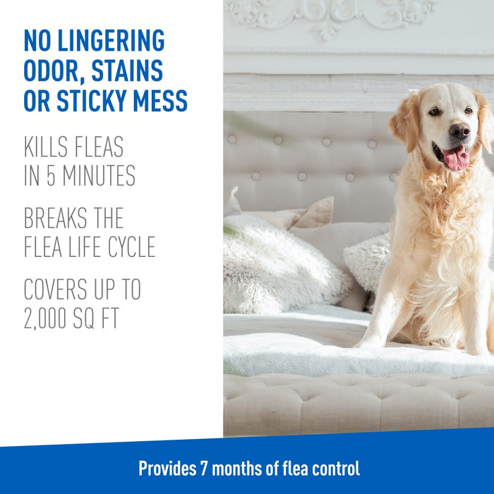 ADAMS Flea & Tick Carpet & Home Aerosol Spray, 7-Month Flea Protection, Treats Up to 2K Sq Ft, 16 oz